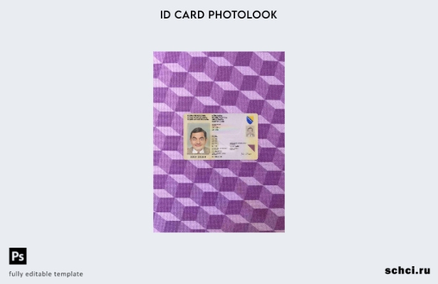 цифровая загрузка Боснии и Герцеговины ID ( ) шаблон фотовида ПЕРЕДНЕЙ стороны